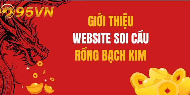 Tại sao người chơi nên chọn 95vn để soi cầu rồng bạch kim